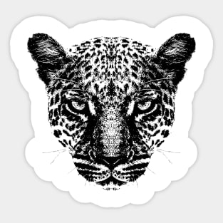 Head of a Leopard Sticker